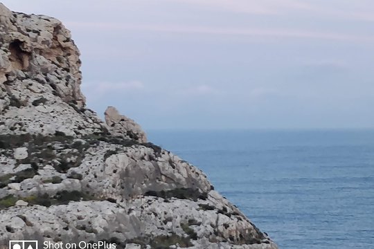 Tour image 6